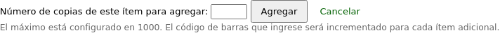 The buttons under the add item form are replaced by 'Number of copies of this item to add' with an input box in which to enter the number