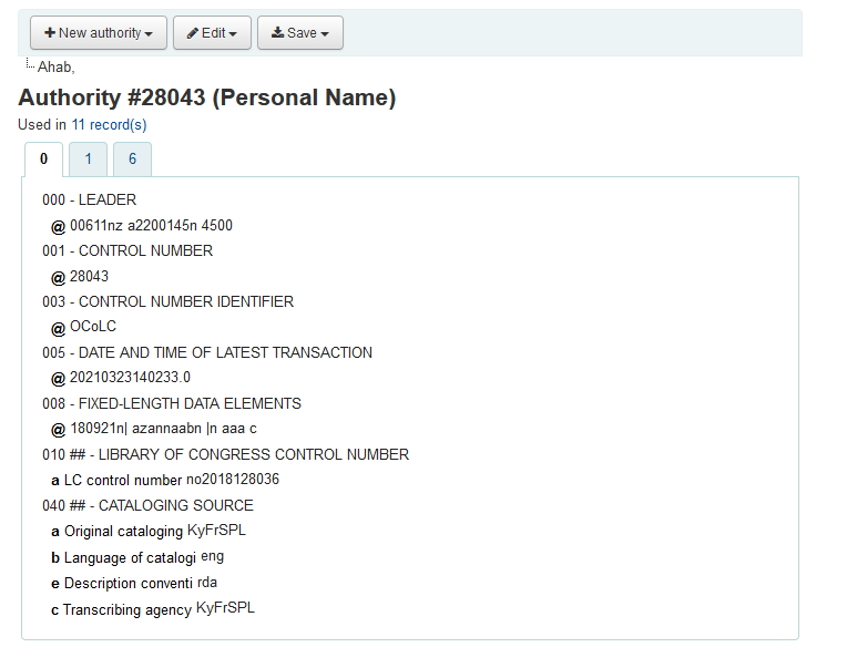Screenshot des neuen Primärdatensatzes