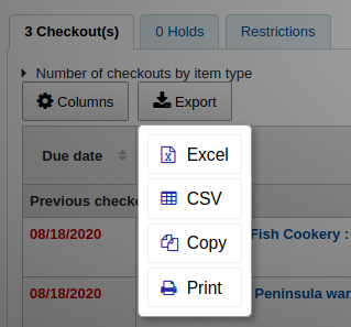 Export checkouts options (Excel, CSV, copy or print)