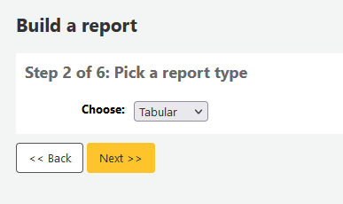Second step of creating a guided report - choosing type