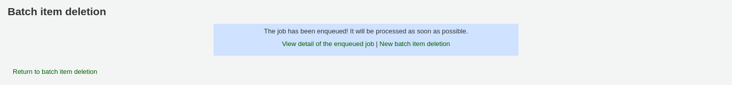 Message saying the job has been enqueued, with links to view the enqueued job or make a new batch item modification