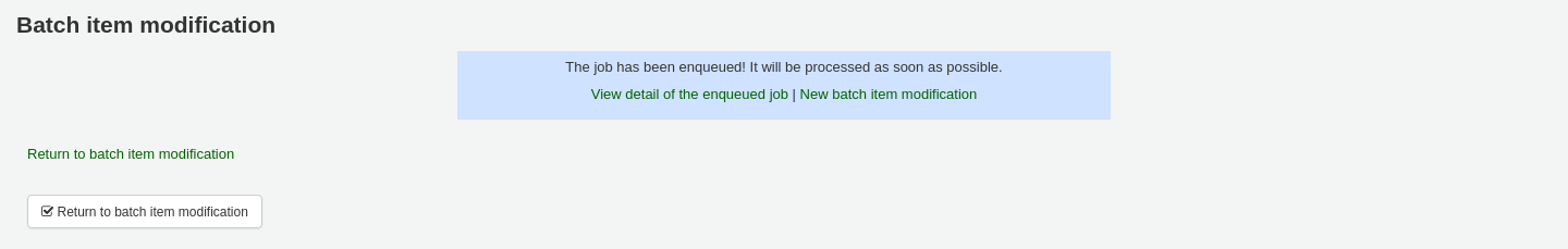 Message saying the job has been enqueued, with links to view the enqueued job or make a new batch item modification