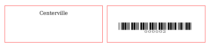 Image showing two labels, the first one has the name of the library printed on it and the second one contains the barcode